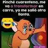 Maria Cristerna - @mariacristerna733 - TikTok