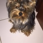 Maria Cristerna - @cristerna.m - Instagram