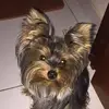 mariacristerna196 - @mariacristerna196 - TikTok