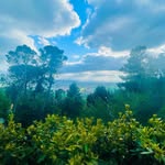 Maria Croce - @croce5549 - Instagram
