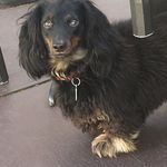 Maria Croft - @mfcroft57 - Instagram