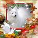 Maria Croft - Facebook