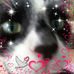 Maria Crowe - Facebook