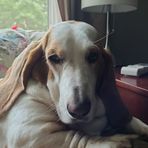 Maria Crowell - Facebook