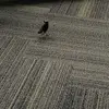 Mariadanna966 - @mariadanna966 - TikTok