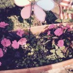 Maria Yanni Dansby - @mariagrace0127 - Instagram