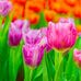 Maria Day - Facebook