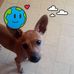 Maria DeArman - Facebook