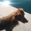 mariadede - @mariadede43 - TikTok