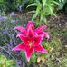 Maria Deegan - Facebook