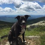 Christine Santa Maria Deery - @santamariadeery - Instagram