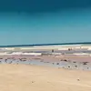 Maria Deleo - @mariadeleo5 - TikTok