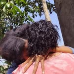 Maria de Monte correia - @mariademontecorreia - Instagram