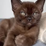 @mariademush27 - Instagram