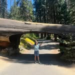 Maria Denney - @dancingdenney - Instagram