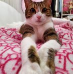 María Denyer - Facebook