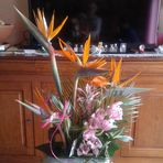 Maria Deroche - Facebook
