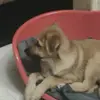 Maria Addevico - @mariaaddevico4 - TikTok