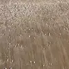 Maria Devito - @mariadevito3 - TikTok