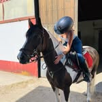 Maria diaz - @mpd.sporthorses - Instagram