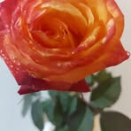 Maria Dilan - Facebook