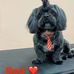 Maria Dillman - Facebook