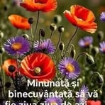 Maria Dima - Facebook