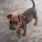 Maria Dimon - Facebook
