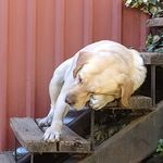 Ignacio María Dodds - @doddsignaciomaria - Instagram