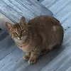 MARIA JESUS 👸 - @maria.jesus.doering - TikTok