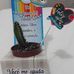 Creche Maria Das Dore - Facebook