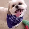 Maria Downs - @maria.downs92 - TikTok