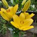 Maria Drago - Facebook