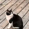 Maria5 Bookdragon - @maria5.bookdragon - TikTok