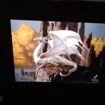 Марія - @maria_dragon_wolfs - Instagram