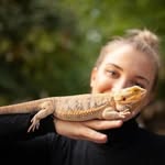 Maria J. Stults | Bearded Dragon - @beardiedragone - Instagram