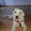 Maria - @maria8dragon9 - TikTok