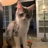 Maria D. - @mariadrummond136 - TikTok