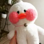 Уточка Лили - @maria_duck_caxorok - Instagram
