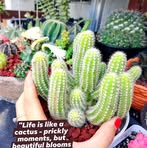 Marie Duffer - Facebook