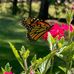 Maria Dufour - Facebook