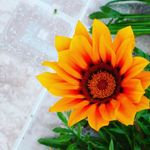Maria Ines Dungey Villa - @dungeyvilla - Instagram