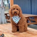 Maria  Dutton - @kolava4067 - Instagram