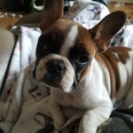 Maria Dutton - @mariadutton1967 - Instagram
