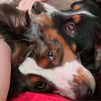 Maria Dye - Facebook