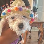 Maria Chavez - @_maria_e.chavez_ - Instagram