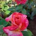 Marika Eggert - Facebook