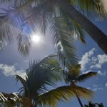 Maria Enns - @mary.enns.3914 - Instagram