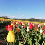 Maria Ernst - Facebook