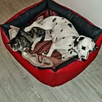 Maria Ernst - @maria.ernst.73 - Instagram